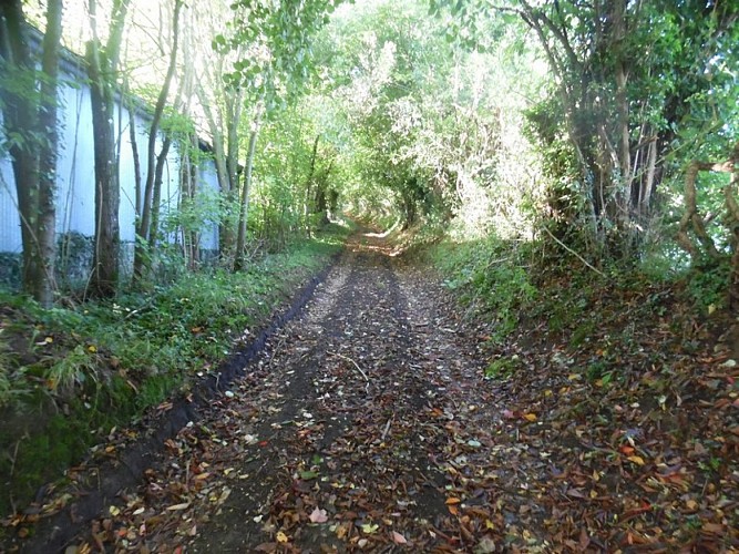 La-fontaine-Margot--1-