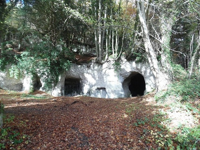 Circuit-des-forges-Mezieres-Le-Mesnil-Germain