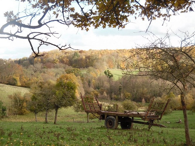 Circuit-des-forges-Mezieres-Le-Mesnil-Germain--5-