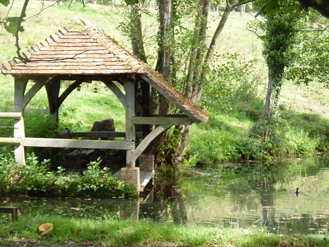 Saint-Georges-en-Auge--1-