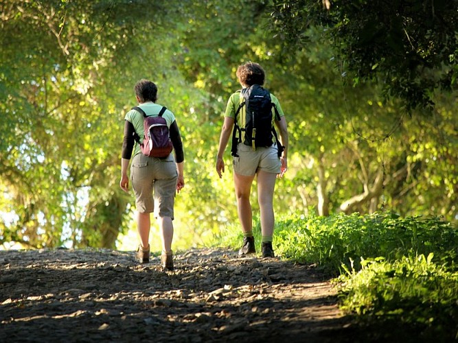 Randonnee_pedestre-Gregory_Wait___Calvados_Attractivite-2