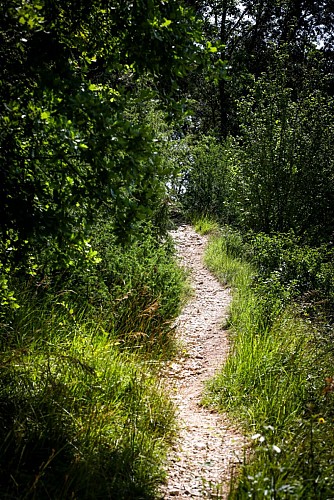 Circuit du Bain des Dames | Châteauneuf-sur-Charente