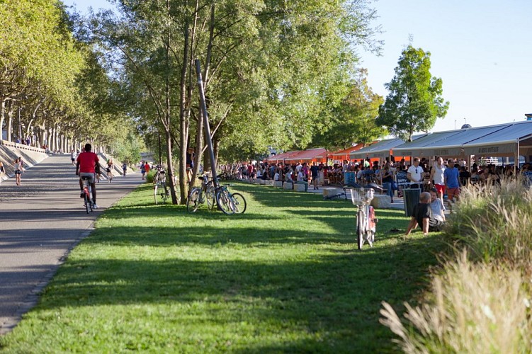 Berges du Rhône, verdure, guinguettes et cyclistes