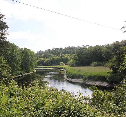 Quimperlé - Le tour de la forêt de Toulfoën