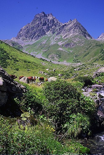 Randonnée : La Combe des Roches - Circuit de l'Orselle (1719m )_Saint-Colomban-des-Villards