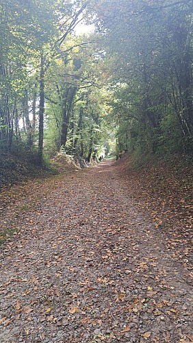 Chemin Art Nature d'Andilly_Andilly