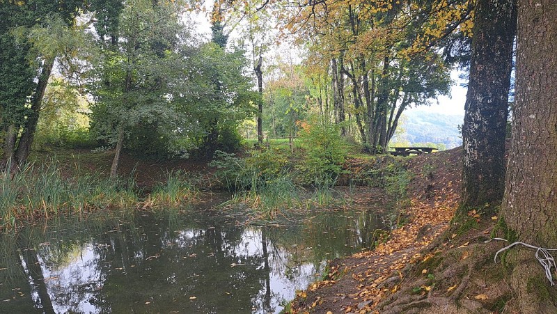 Chemin Art Nature d'Andilly