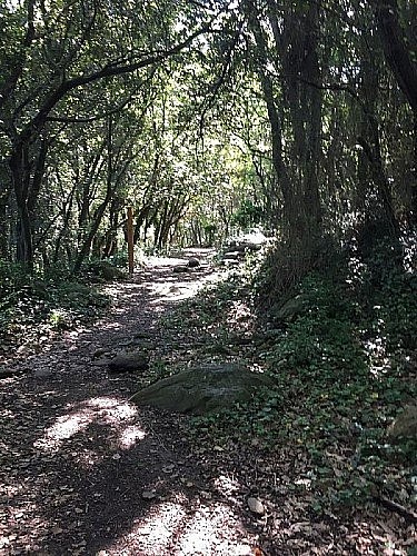 Laroque - Roc del Migdia - Dolmen de la Balma del Moro par les Cabanes de Mataporcs