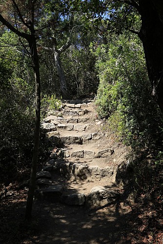 La presqu'îles des Bruzzi_Pianottoli-Caldarello