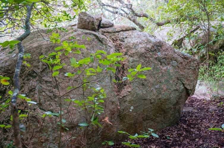 Sentier du patrimoine "U Casteddu" - Figari_Figari