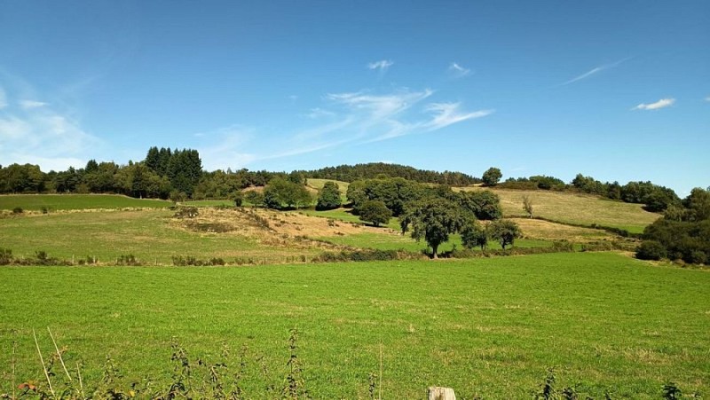 Les prairies de la Viadène, près de Bouldoires