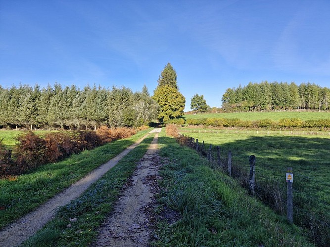 Sentiers - Circuit du bourg - Lamongerie © JL (1)