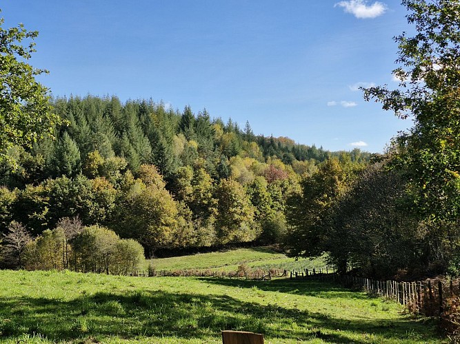 Sentiers - Circuit du bourg - Lamongerie © JL (13)