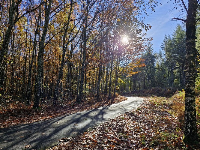 Sentiers - Circuit du bourg - Lamongerie © JL (29)
