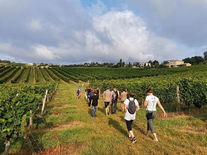 Circuit des cabanes de vignes_Pian-sur-Garonne