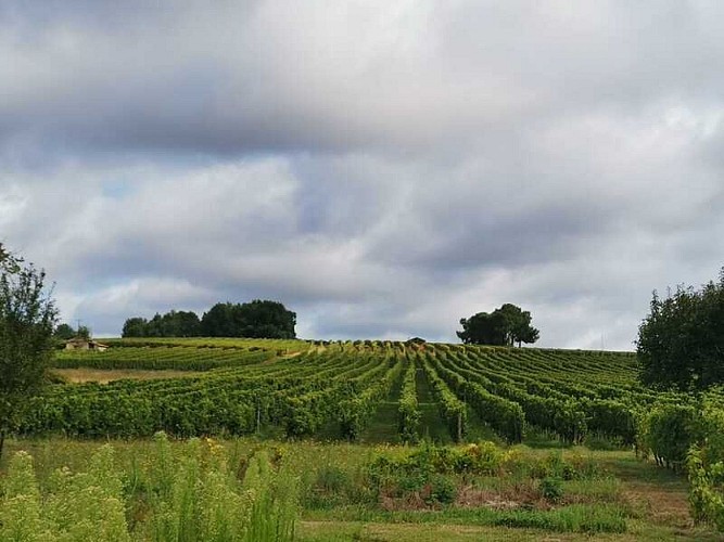 Circuit des cabanes de vignes_Pian-sur-Garonne