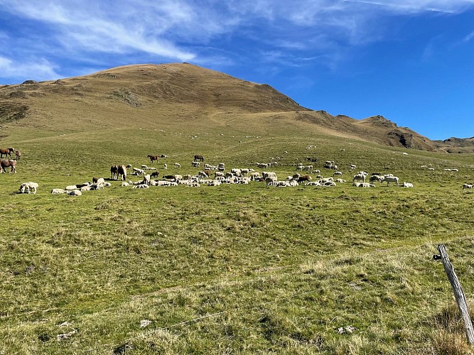 hospice-de-france-campsaure-pyrenees31