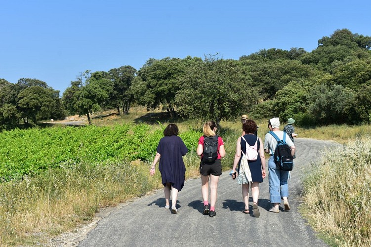 Randonneuses sur le sentier
