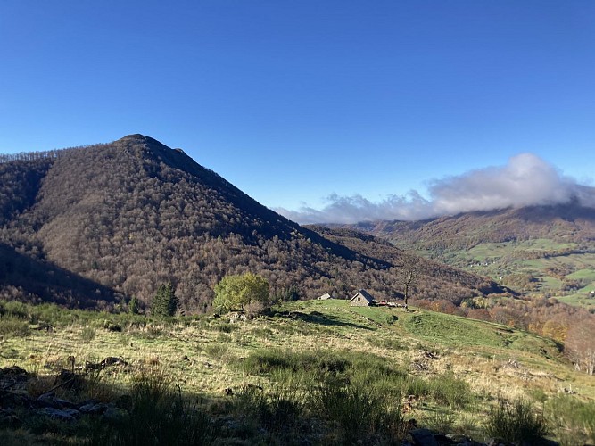 Puy de Montcineyre (1331 m)