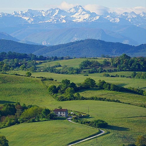 Les hauteurs de Brie_Brie