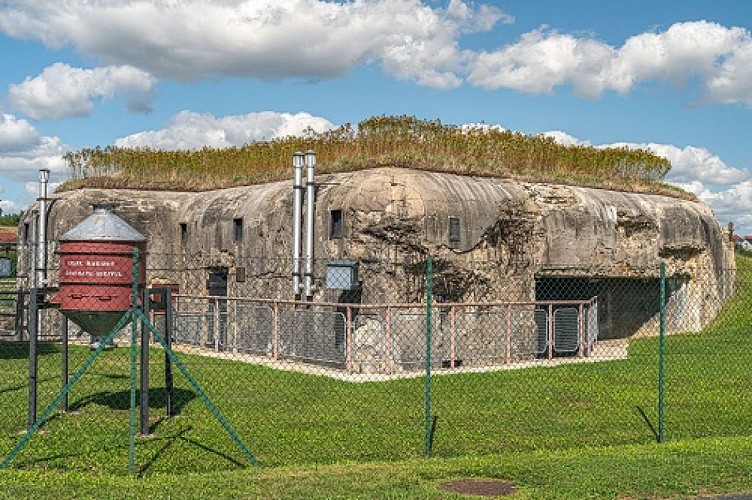 Circuit de randonnée autour des sites de mémoire en Outre-Forêt