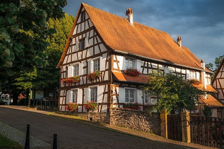 Maison Rurale de l'Outre-Forêt à Kutzenhausen