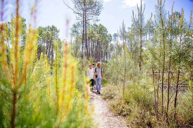 lac-hostens-sud-gironde-agence-les-conteurs-76