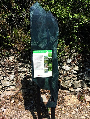 Sentier art et nature La Draille des Seynes - Parcours 1