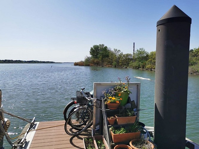 Die Via Rhôna Beaucaire - Aramon - Avignon