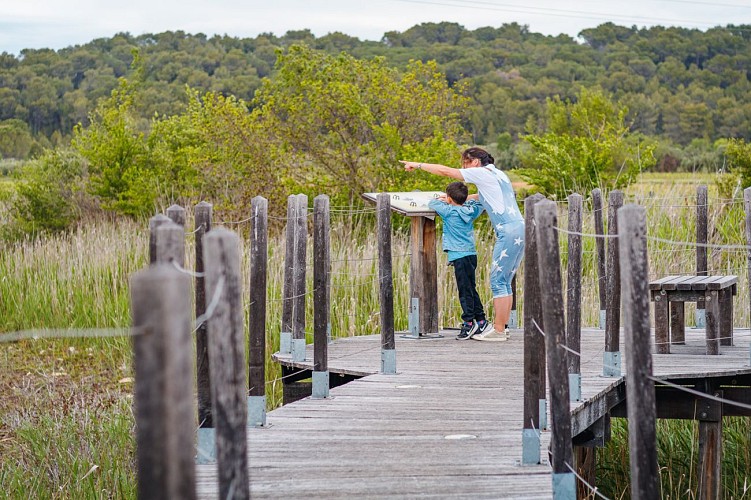 Voie Verte de la Vaunage