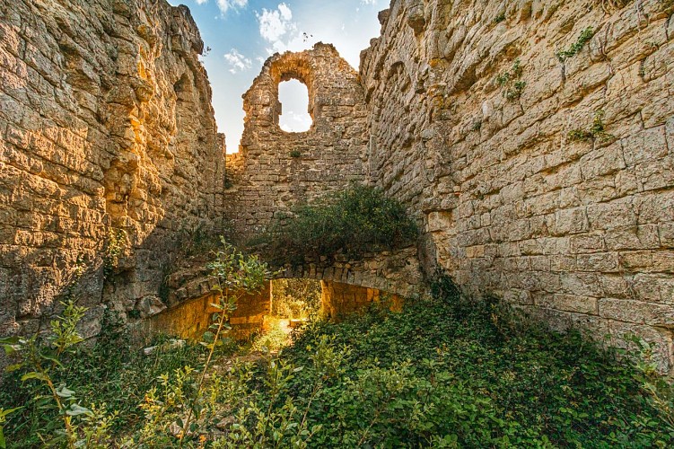 Bois des Lens in Montmirat