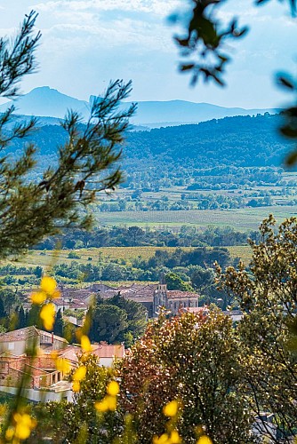 Bois des Lens in Montmirat