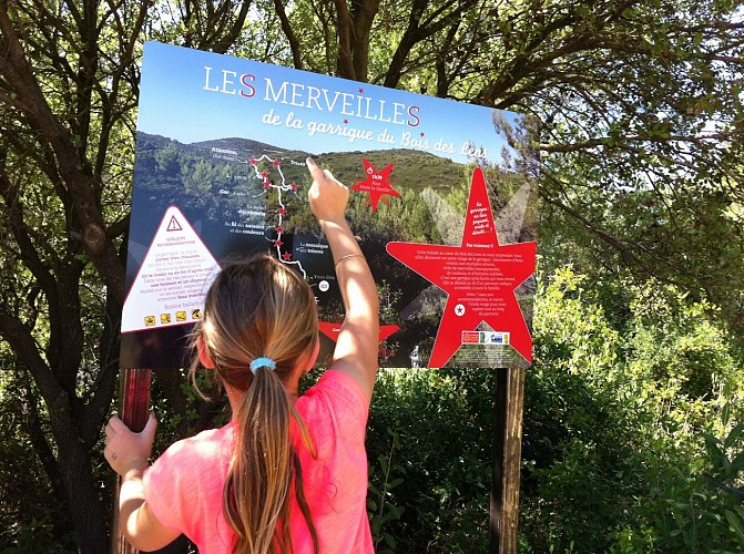 Bois des Lens - Combas