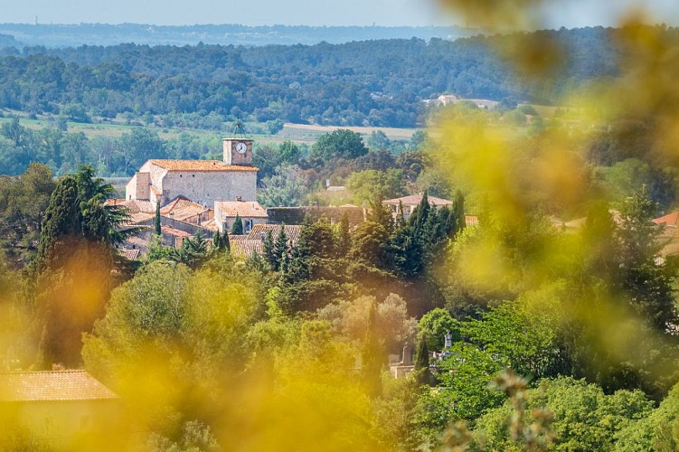 Bois des Lens - Combas