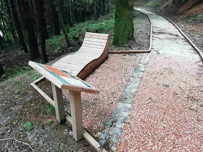 Sentier d’Interprétation de la Foret des sens Arboretum de Puechagut