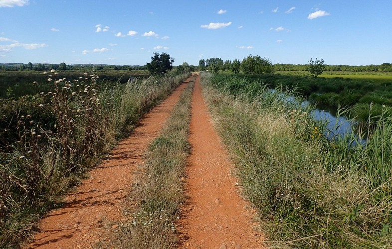 Randonnée Autour du marais du Cougourlier