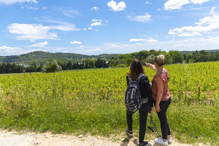 Balade à la fontaine de Tavie