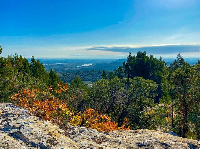 Balade L'abbaye de Saint Roman