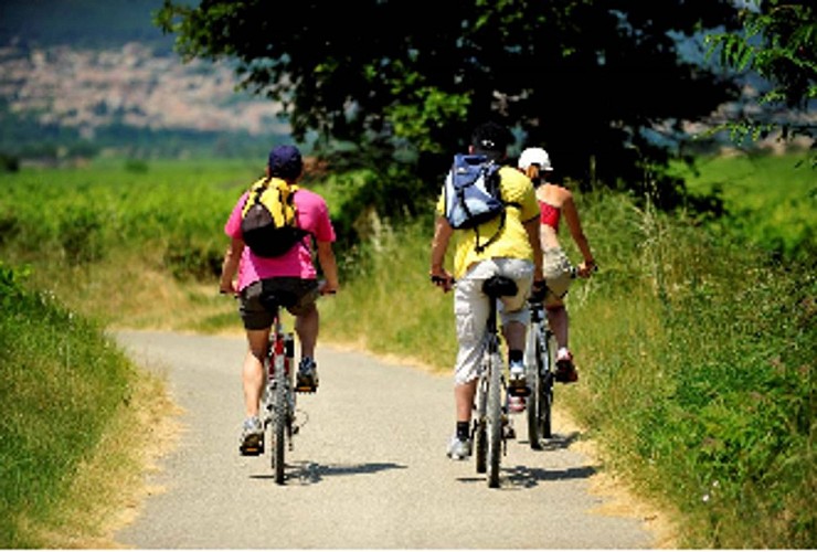 Boucle cyclo-découverte de l'Uzège Pont du Gard