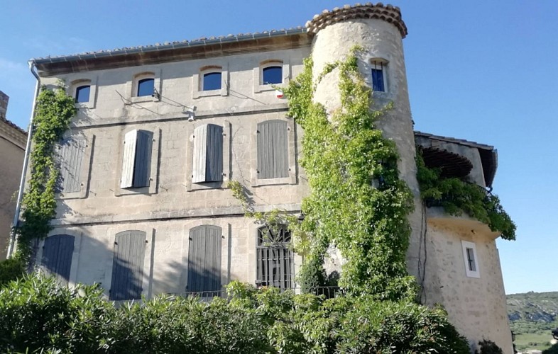 Boucle cyclo-découverte de la vigne à vélo