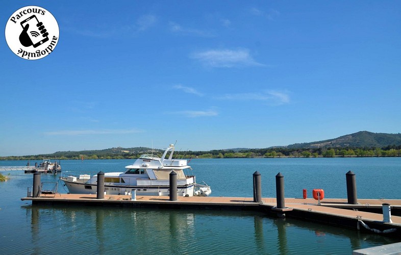 Boucle cyclo-découverte de la vigne à vélo