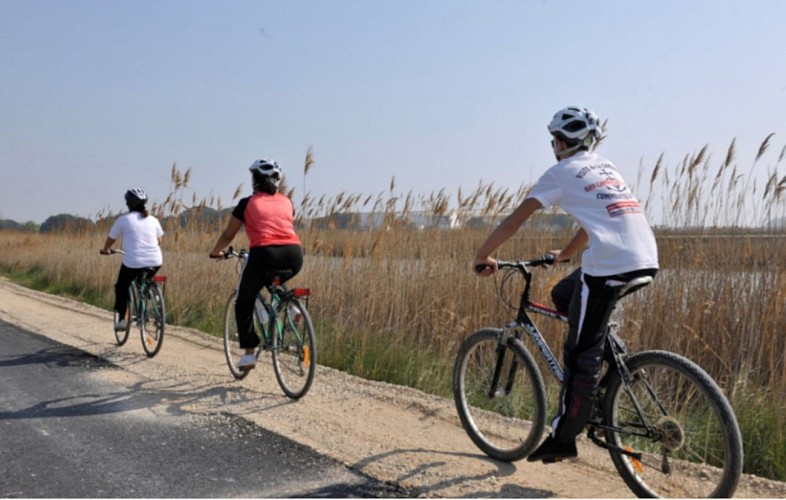 voie verte D'Aigues-Mortes à l'Espiguette