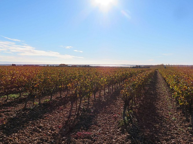 Randonnée D’un canal à l’autre en AOC Costières