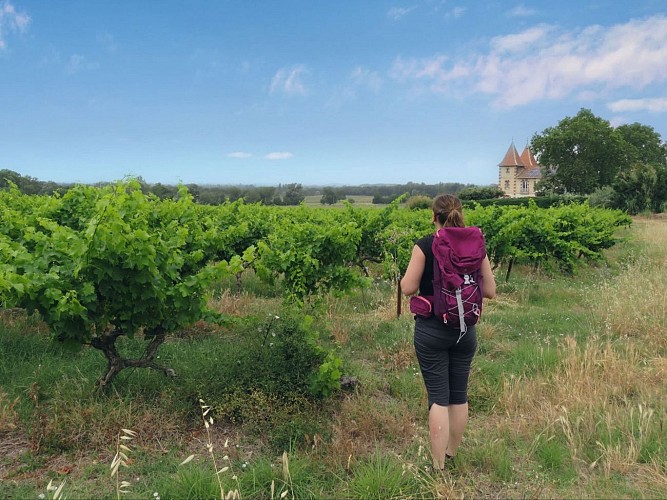 Randonnée D’un canal à l’autre en AOC Costières