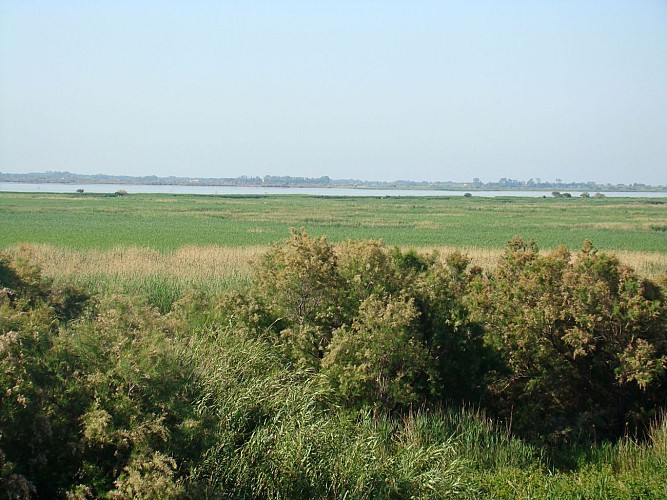 Parcours VTT Entre Vignobles des Costières et Étangs de Camargue