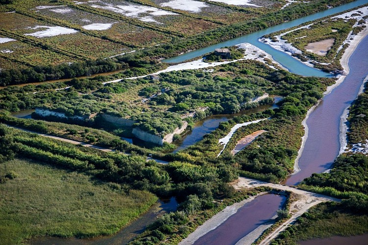 Parcours VTT Le Fort de Peccais