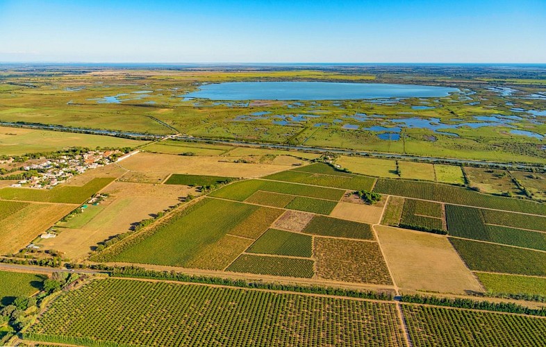Boucle cyclo-découverte La Boucle des Costières