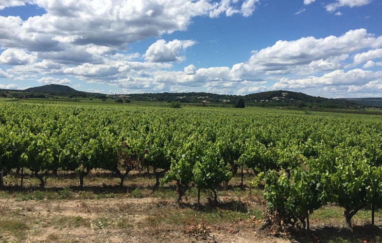 Parcours VTT La Goule de Navet