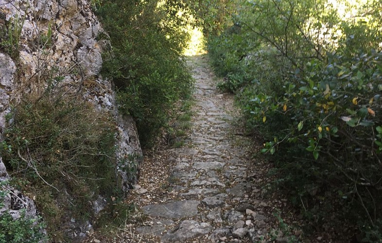 Parcours VTT La Goule de Navet
