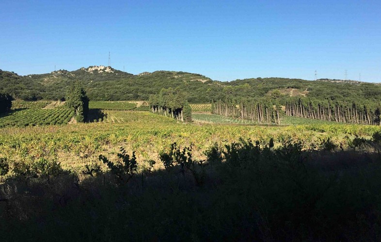 Parcours VTT La Montagne de Lirac